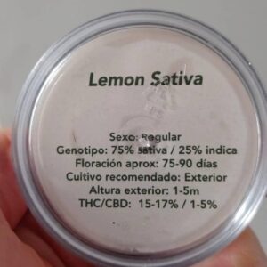 Lemon Sativa